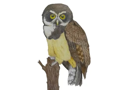 Placeholder illustration 6