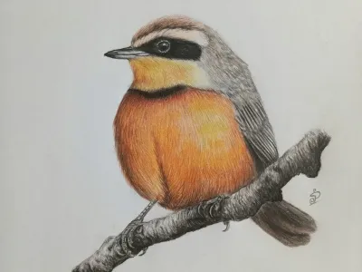 Placeholder illustration 7