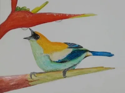 Placeholder illustration 9