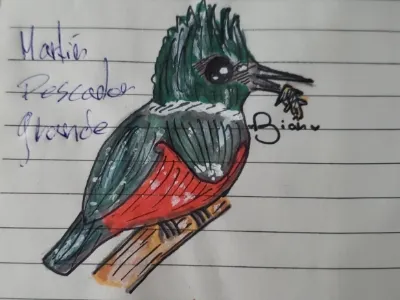 Placeholder illustration 10