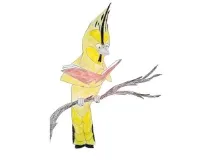 Plan Vuelo artwork