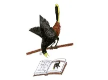 Plan Nido artwork
